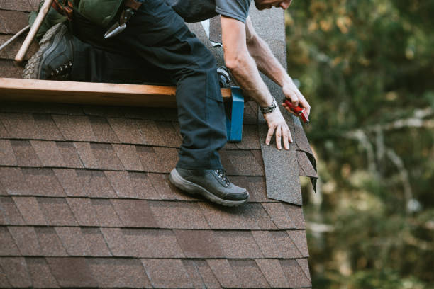 Best Roof Repair Services  in East Dubuque, IL